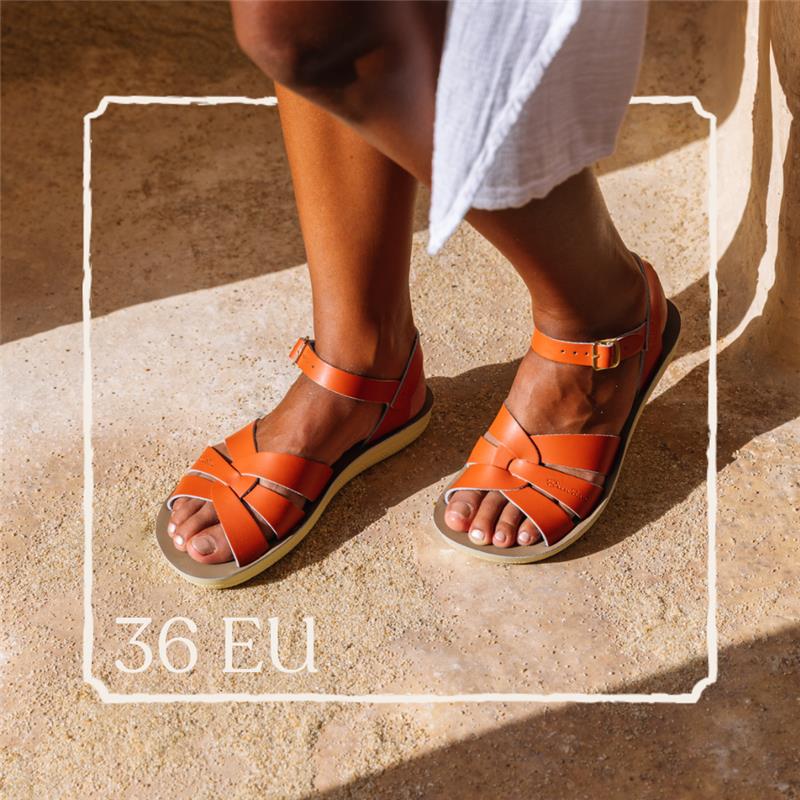 EU 36